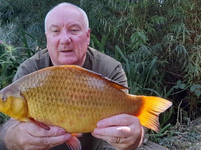 3-08 Cherry Springs.JPG