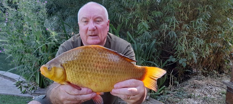 3-08 Cherry Springs.JPG