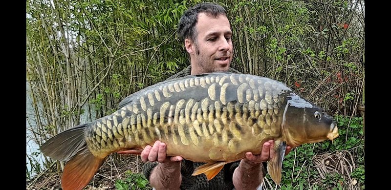 Danny Taylor