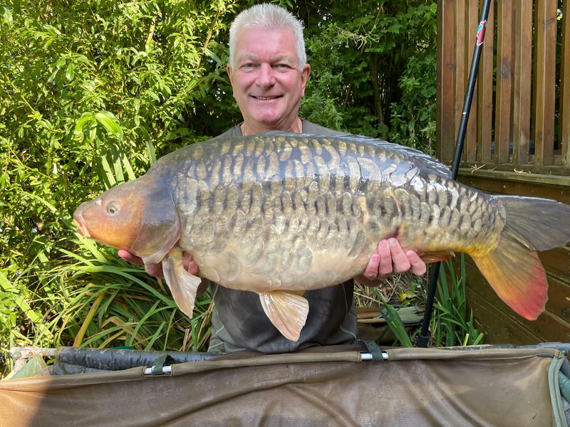 Alan Roberts set a new PB with this 31-08 Mirror Carp from Grebe Lodge