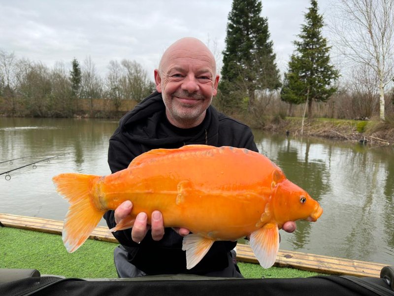 Darren Greenhalgh with a 7-11 Golden Mirror from Cherry Mere