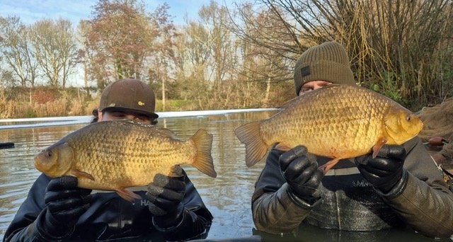4-09 and 4-13 Crucian Carp