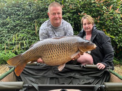 Teri 36-12
