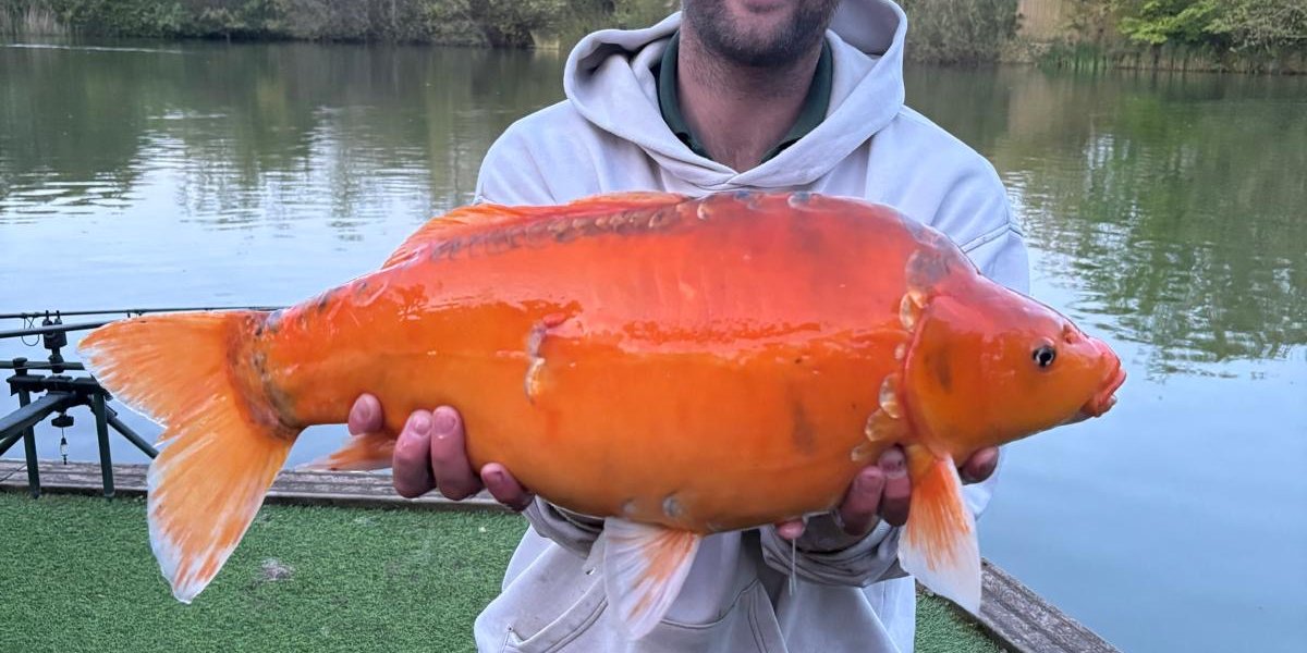 Jack Bristow with Carrot!