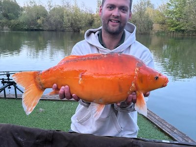 Jack Bristow with Carrot!