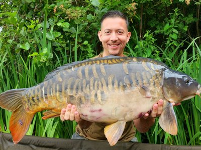 Mark NG with a beautiful 28lb Fully Scaled Mirror