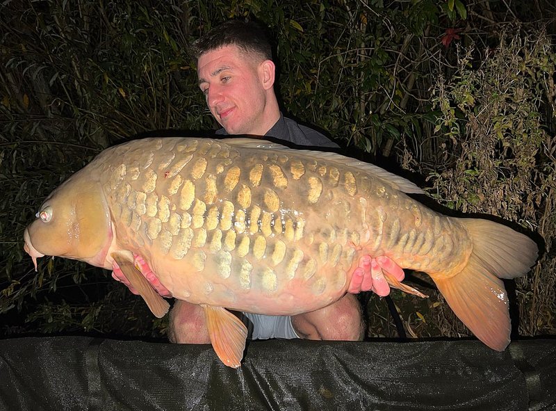 7B288674-11C4-4417-A8E9-081E9962359E