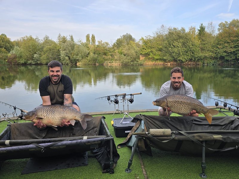 7b5d4c3b-fa72-4117-8687-d8862d21f55c