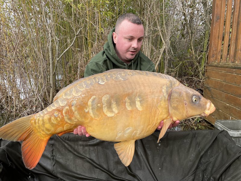 88160FC8-D160-4558-8DC4-465209EE0BE7