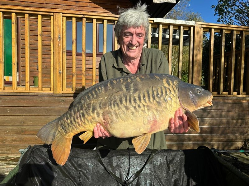 98d64055-8c06-4844-beae-d17bb867d4b9