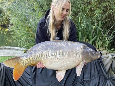 Amy McAndrerw. 28-04 cropped.jpeg