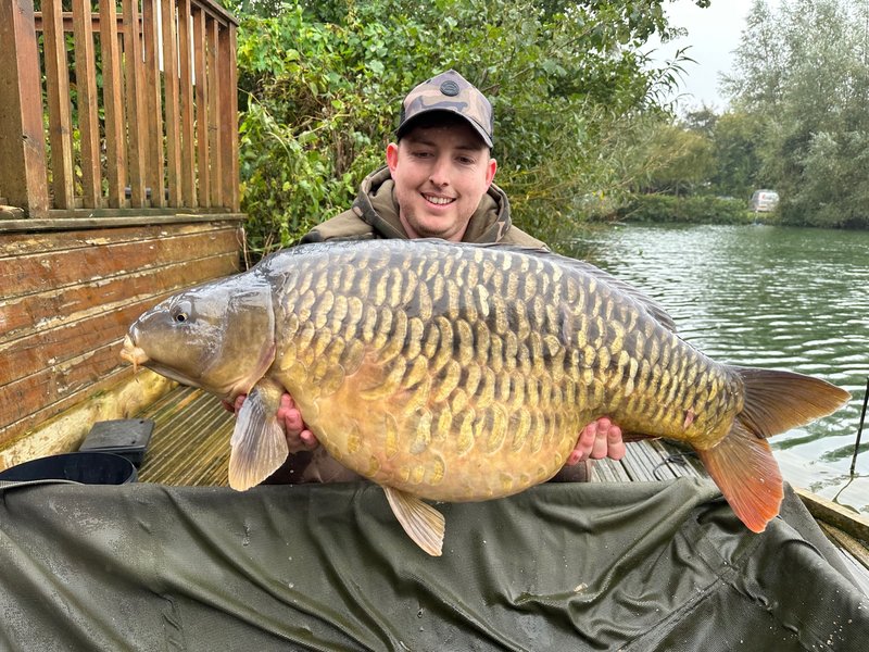 Carl Harris. 36-12 L