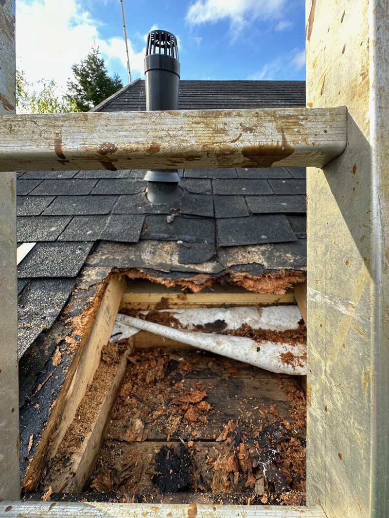 Carpenter Mike repairing Osprey's roof