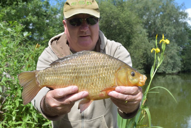 Kevin Lane with a fantastic 3-08 Crucian from Cherry Springs