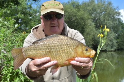 Kevin Lane 2-04 Crucian Carp from Cherry Springs