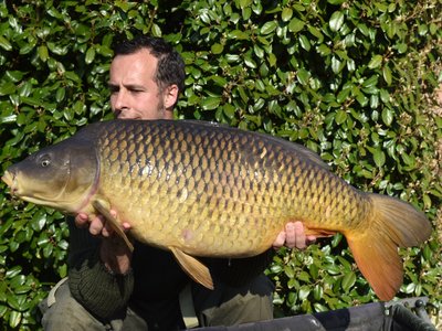 Danny Taylor with a dream start 38lb Common from Osprey Lodge