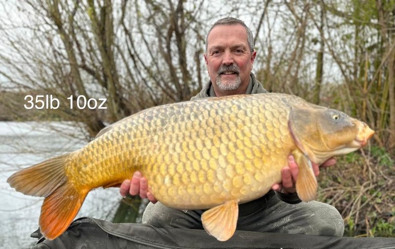 Dave Shaw. 35-10 R