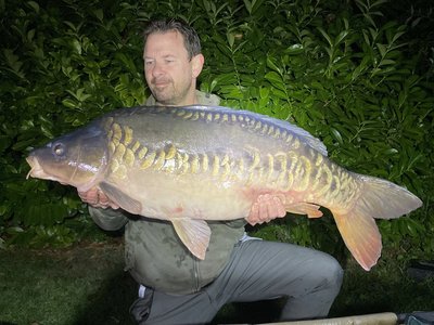 David Knock. 36-08 L.jpg