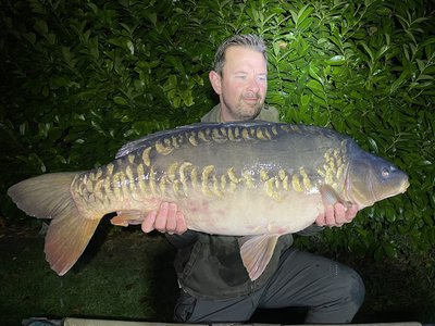 David Knock. 36-08 R.jpg