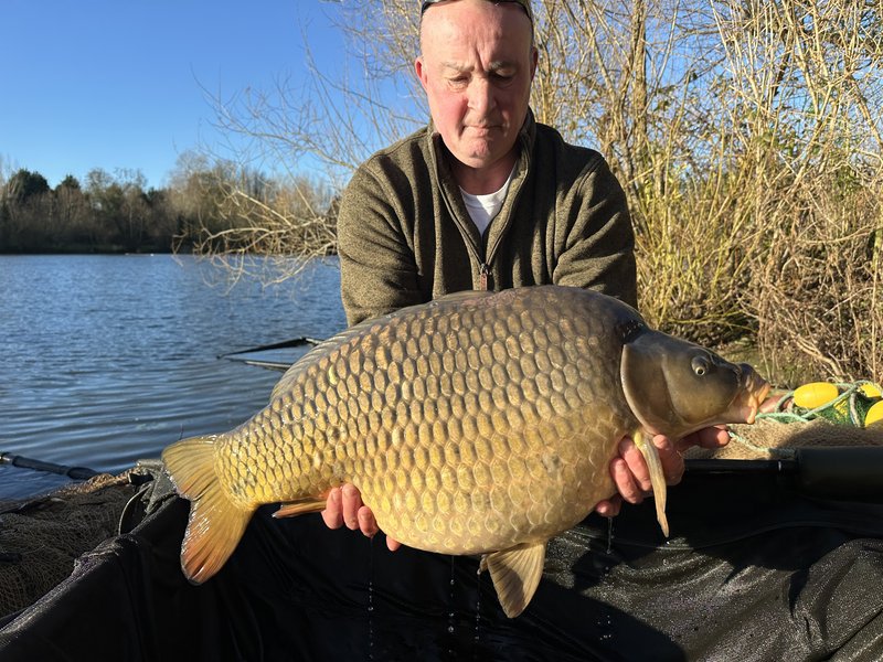 This fantastic Common came in at 42-04