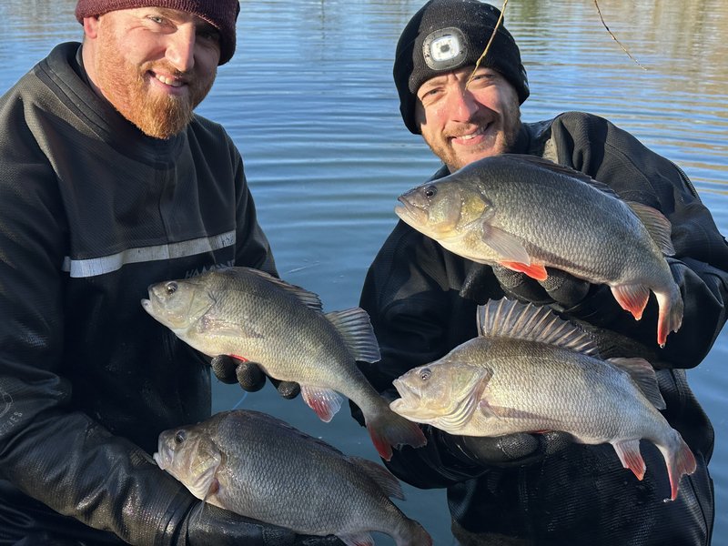 Cherry Springs Perch