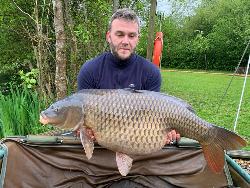 Aaron Hull 36-12