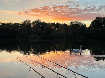 IMG_6679.jpg