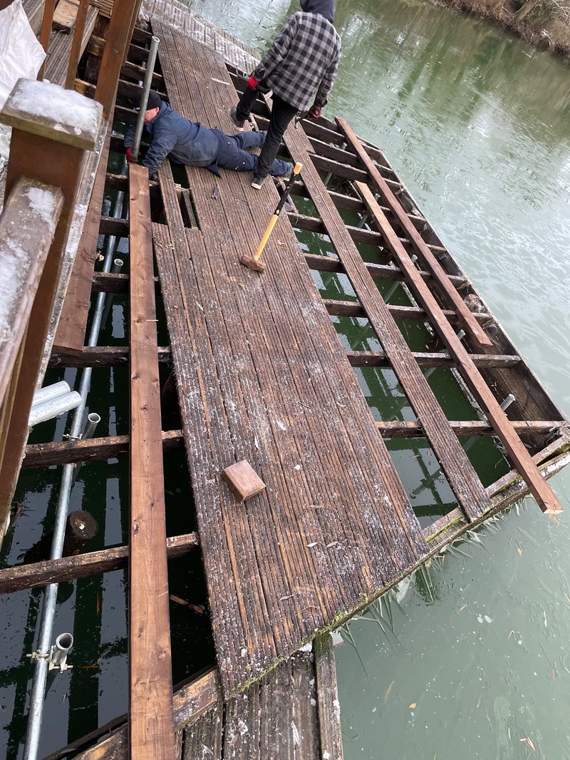 We have started repairing the Pochard Lodge fishing platform.
