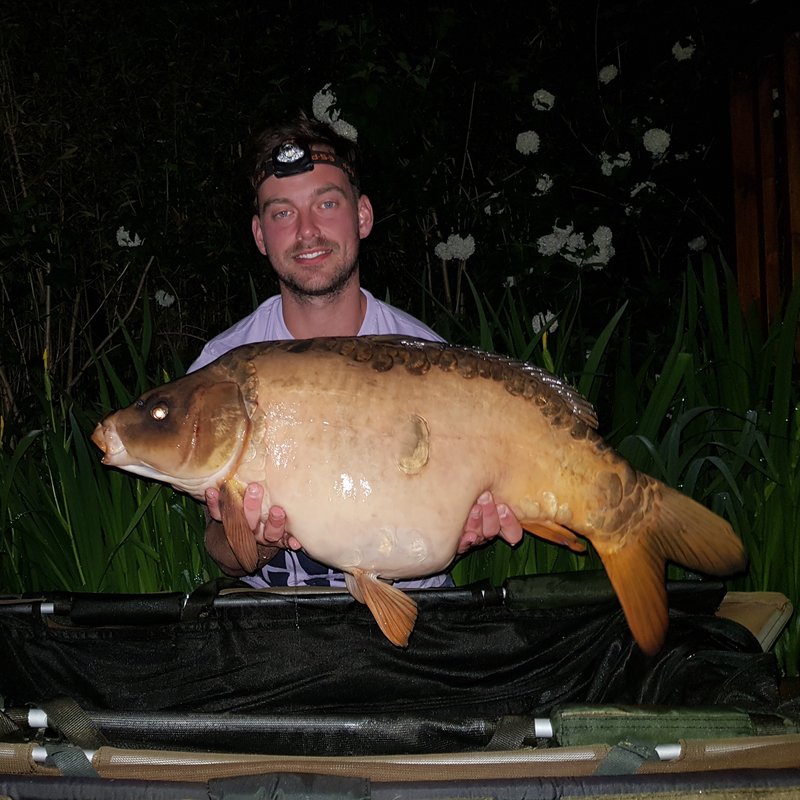 Jack Lyon 30lb Ghost Mirror. Cherry Lake
