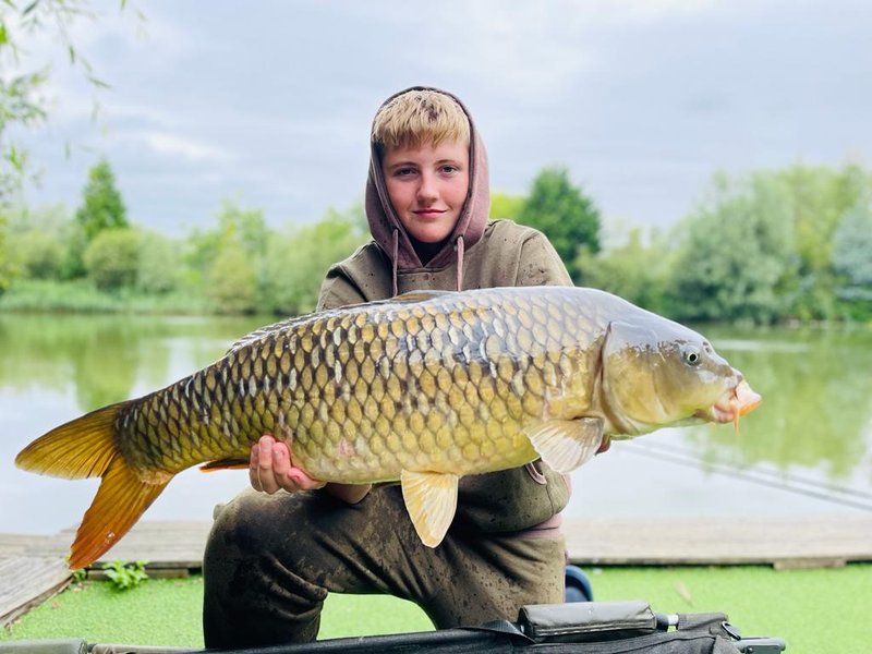 Jack Moll 21 Common