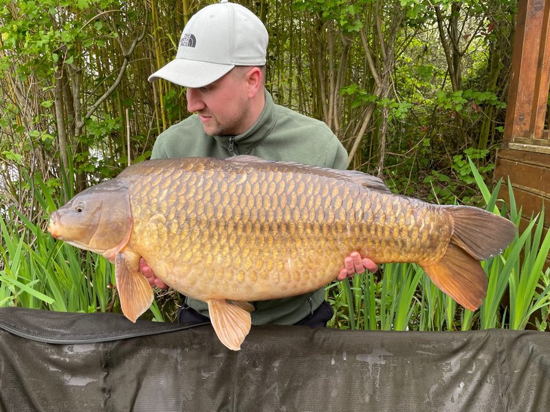 Ryan Cresswell. 38-14 L