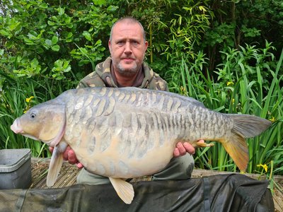 Steve Keene. 31-02 L