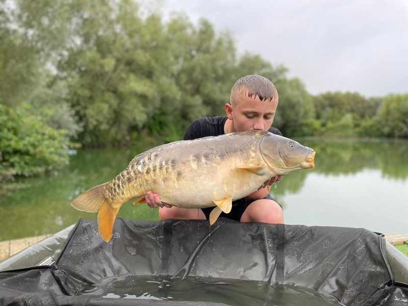 Will Fenton. 31-04 R