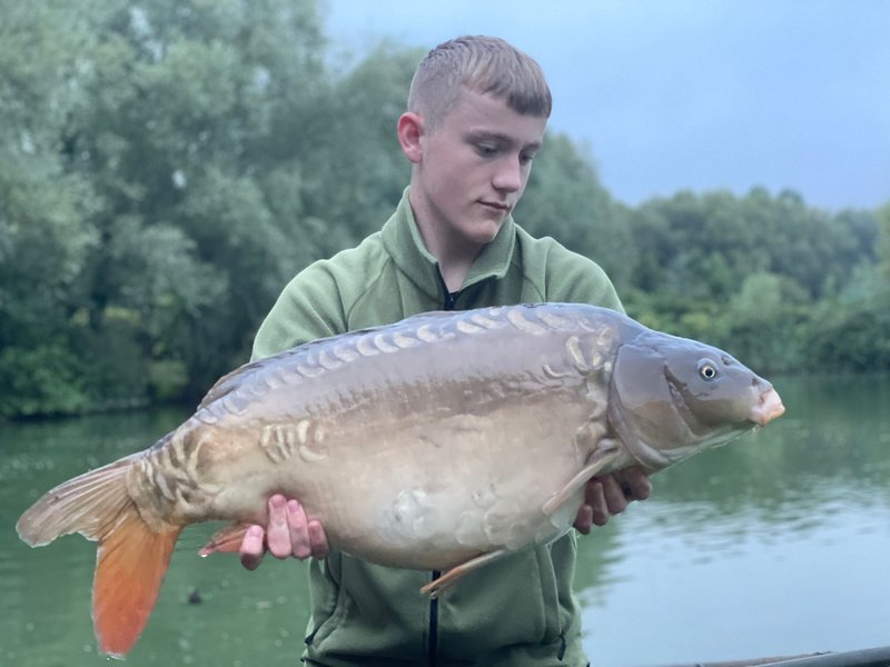 William Fenton. 30-02 R